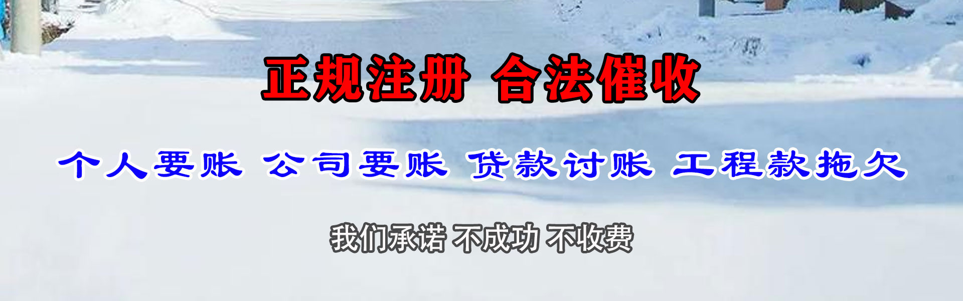 谢家集清债公司
